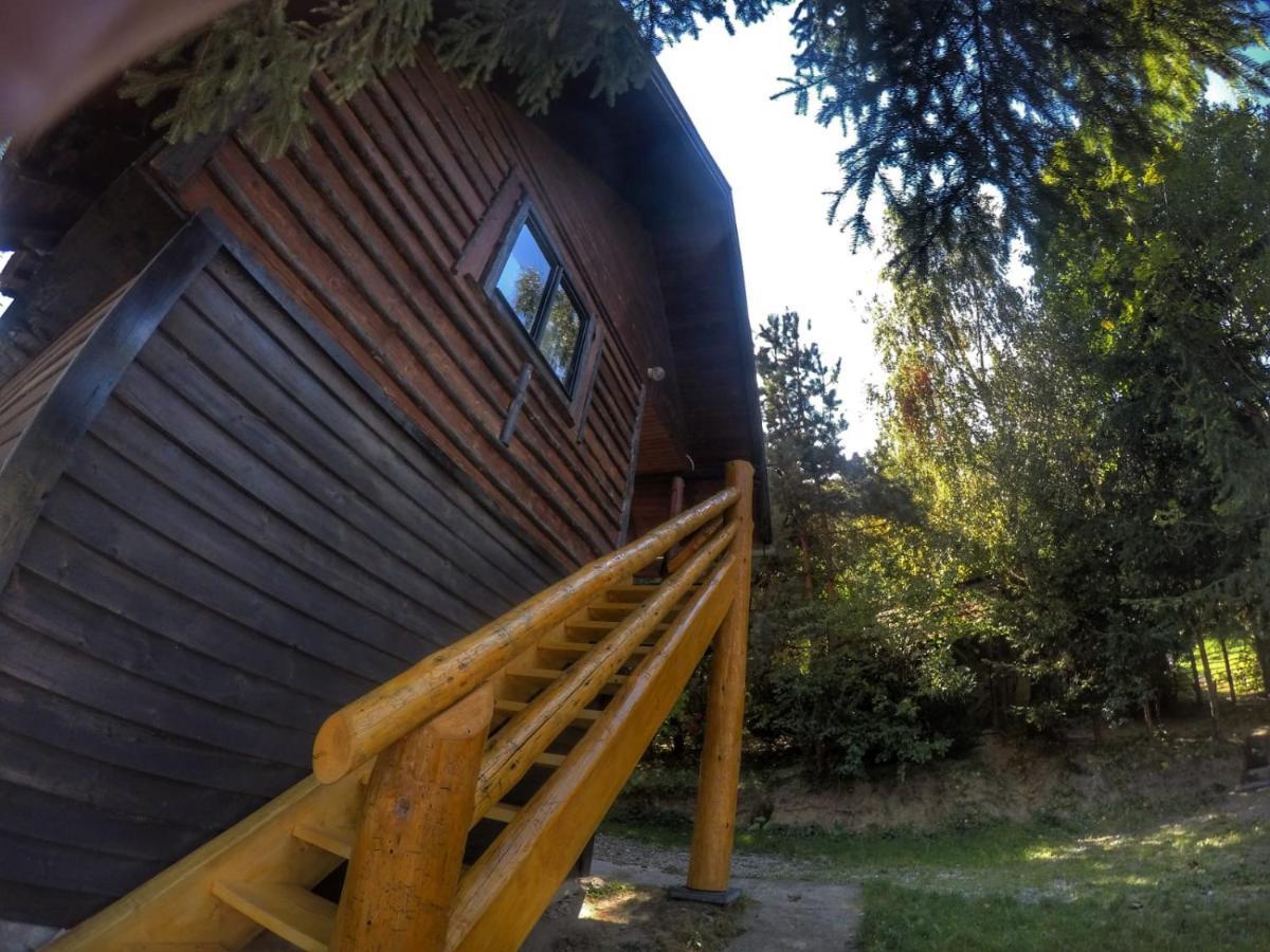 Pensiunea Padina Bran  Exterior foto
