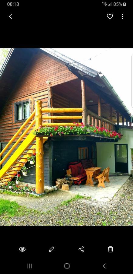 Pensiunea Padina Bran  Exterior foto