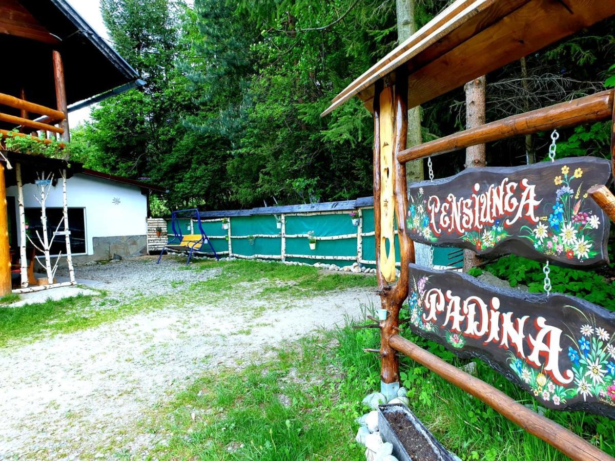 Pensiunea Padina Bran  Exterior foto